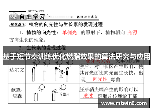 基于短节奏训练优化燃脂效果的算法研究与应用